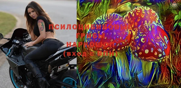 трава Наволоки