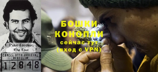 трава Наволоки